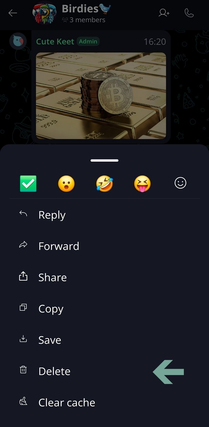 Deleting Files and Messages ๐๏ธ ยท Mobile Long-press the message / select 'Delete'.