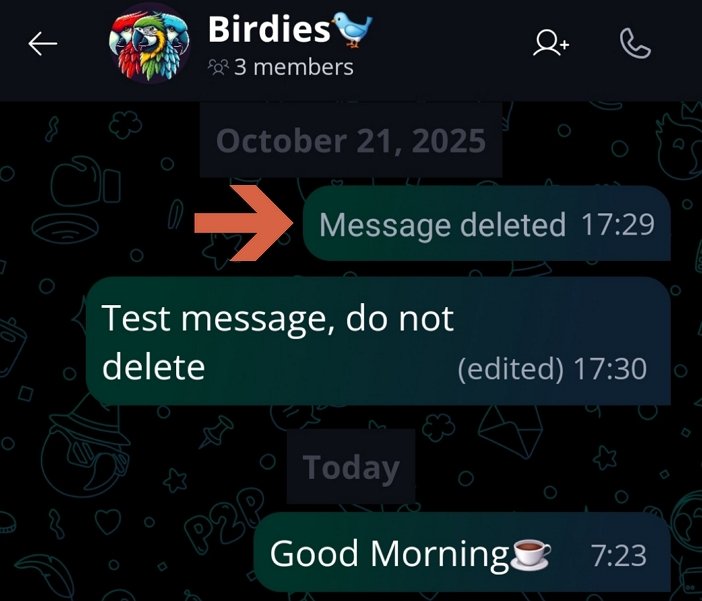 Deleting Files and Messages ๐๏ธ ยท Mobile The removed message will be shown in the chat as 'Message deleted'.